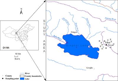 Effects of Warming and N Deposition on the Physiological Performances of Leymus secalinus in Alpine Meadow of Qinghai-Tibetan Plateau